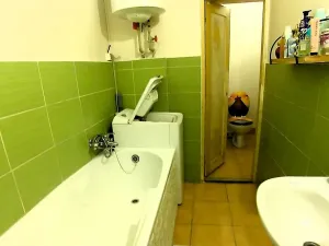 Prodej bytu 2+1, Borohrádek, Nádražní, 64 m2