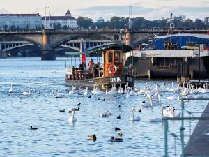 Prodej bytu 2+kk, Praha - Nusle, Bělehradská, 93 m2