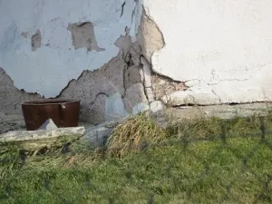 Dražba rodinného domu, Vlčí Habřina, 10 m2