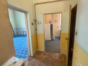 Prodej bytu 1+1, Prostějov, Křížkovského, 53 m2