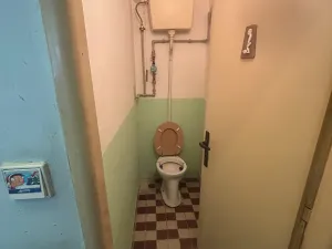 Prodej bytu 1+1, Prostějov, Křížkovského, 53 m2