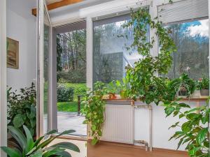 Prodej rodinného domu, Hluboká nad Vltavou, Nádražní, 226 m2