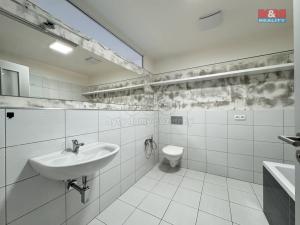 Pronájem bytu 2+kk, Chlumec nad Cidlinou - Chlumec nad Cidlinou IV, Rooseveltova, 49 m2
