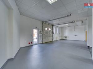 Pronájem obchodního prostoru, Plzeň - Božkov, Letkovská, 245 m2