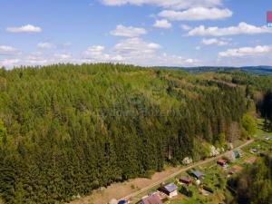 Prodej lesa, Trutnov, 3116 m2