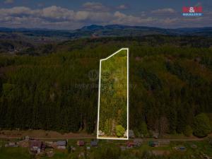 Prodej lesa, Trutnov, 3116 m2