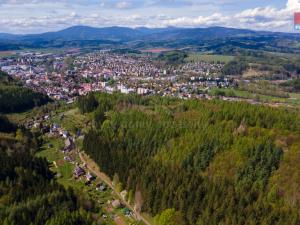Prodej lesa, Trutnov, 3116 m2