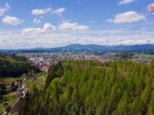 Prodej lesa, Trutnov, 3116 m2