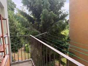 Pronájem bytu 2+1, Brno, Bezručova, 100 m2
