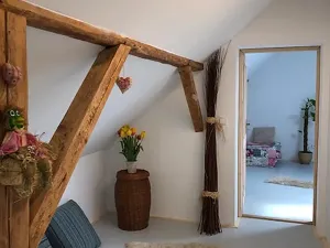 Prodej ubytování, Pluhův Žďár, 380 m2