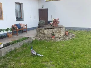 Prodej ubytování, Pluhův Žďár, 380 m2