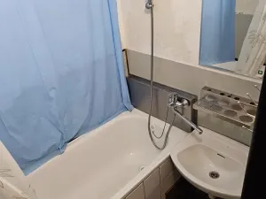 Prodej bytu 2+1, České Budějovice, Dobrovodská, 54 m2