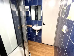Pronájem bytu 1+1, Plzeň, Heyrovského, 39 m2