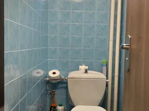Prodej rodinného domu, Dolní Loučky, 185 m2