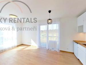 Pronájem bytu 1+kk, Praha - Hloubětín, Za černým mostem, 32 m2