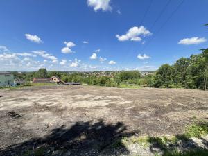 Prodej pozemku, Radvanice, 6000 m2