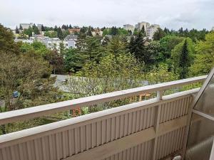 Pronájem bytu 1+kk, Opava, Haškova, 18 m2