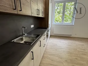 Pronájem bytu 1+kk, Dívčice, 20 m2