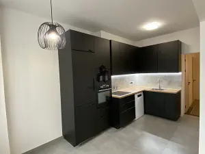 Pronájem bytu 3+1, Praha - Vinohrady, Řipská, 100 m2