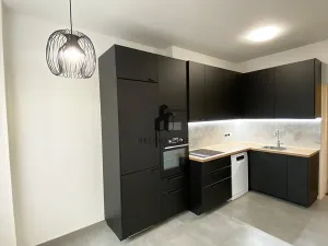 Pronájem bytu 3+1, Praha - Vinohrady, Řipská, 100 m2