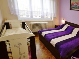 Pronájem bytu 2+1, Jihlava, Riegrova, 55 m2