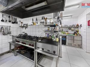 Prodej ubytování, Kytlice - Dolní Falknov, 500 m2