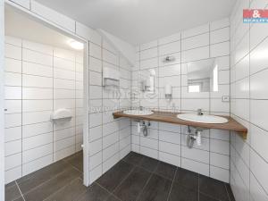 Prodej ubytování, Kytlice - Dolní Falknov, 500 m2