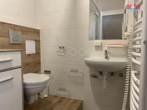 Pronájem bytu 1+kk, Bratrušov, 24 m2