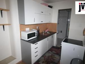 Pronájem bytu 1+kk, Plzeň, Dvořákova, 25 m2