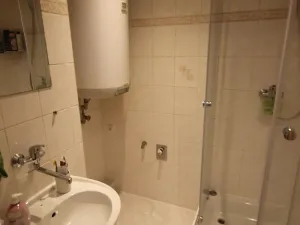 Pronájem bytu 1+kk, Plzeň, Dvořákova, 25 m2