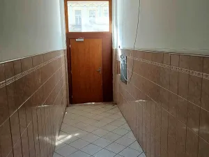 Pronájem bytu 2+1, Praha - Žižkov, Černínova, 39 m2
