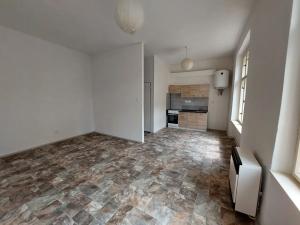 Pronájem bytu 1+kk, Plzeň, Bolzanova, 36 m2