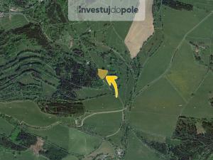 Prodej louky, Horní Branná - Valteřice, 2558 m2