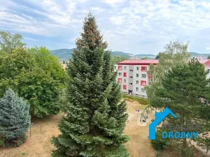 Pronájem bytu 2+1, Ústí nad Labem, Dukelských hrdinů, 52 m2