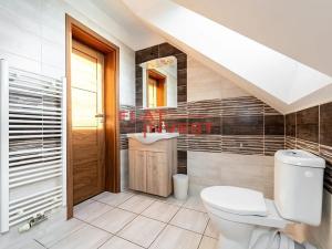 Prodej obchodního prostoru, Vysoké Veselí, 1. máje, 600 m2