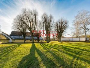 Prodej obchodního prostoru, Vysoké Veselí, 1. máje, 600 m2