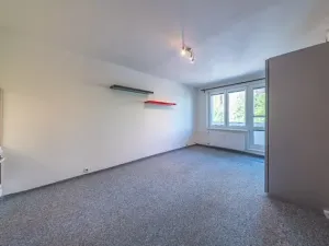 Prodej bytu 1+kk, Orlová, 30 m2