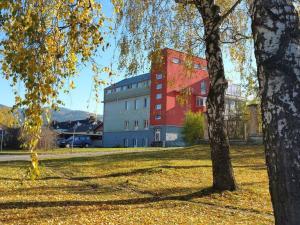 Prodej bytu 1+kk, Jeseník, Slezská, 38 m2