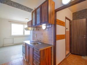 Prodej bytu 1+kk, Liberec, Borový vrch, 27 m2