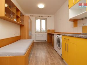Pronájem bytu 1+kk, Hradec Králové, Tylovo nábřeží, 27 m2