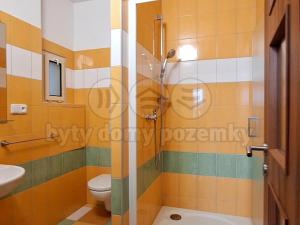 Pronájem bytu 1+kk, Hradec Králové, Tylovo nábřeží, 27 m2