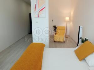 Pronájem bytu 1+kk, Frýdek-Místek - Frýdek, Růžový pahorek, 29 m2