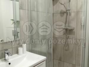Pronájem bytu 1+kk, Frýdek-Místek - Frýdek, Růžový pahorek, 29 m2