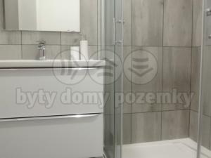 Pronájem bytu 1+kk, Frýdek-Místek - Frýdek, Růžový pahorek, 29 m2