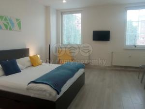 Pronájem bytu 1+kk, Frýdek-Místek - Frýdek, Růžový pahorek, 31 m2