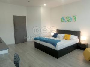 Pronájem bytu 1+kk, Frýdek-Místek - Frýdek, Růžový pahorek, 31 m2