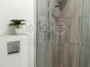 Pronájem bytu 1+kk, Frýdek-Místek - Frýdek, Růžový pahorek, 31 m2
