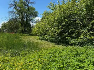 Prodej pozemku pro bydlení, Ostrava, 803 m2