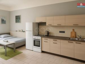 Prodej rodinného domu, Písek - Václavské Předměstí, Zátavské nábř., 295 m2