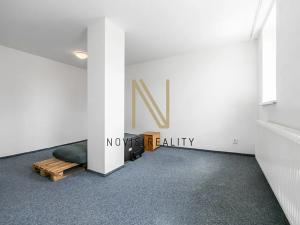 Pronájem bytu 1+1, Plzeň, Denisovo nábřeží, 33 m2